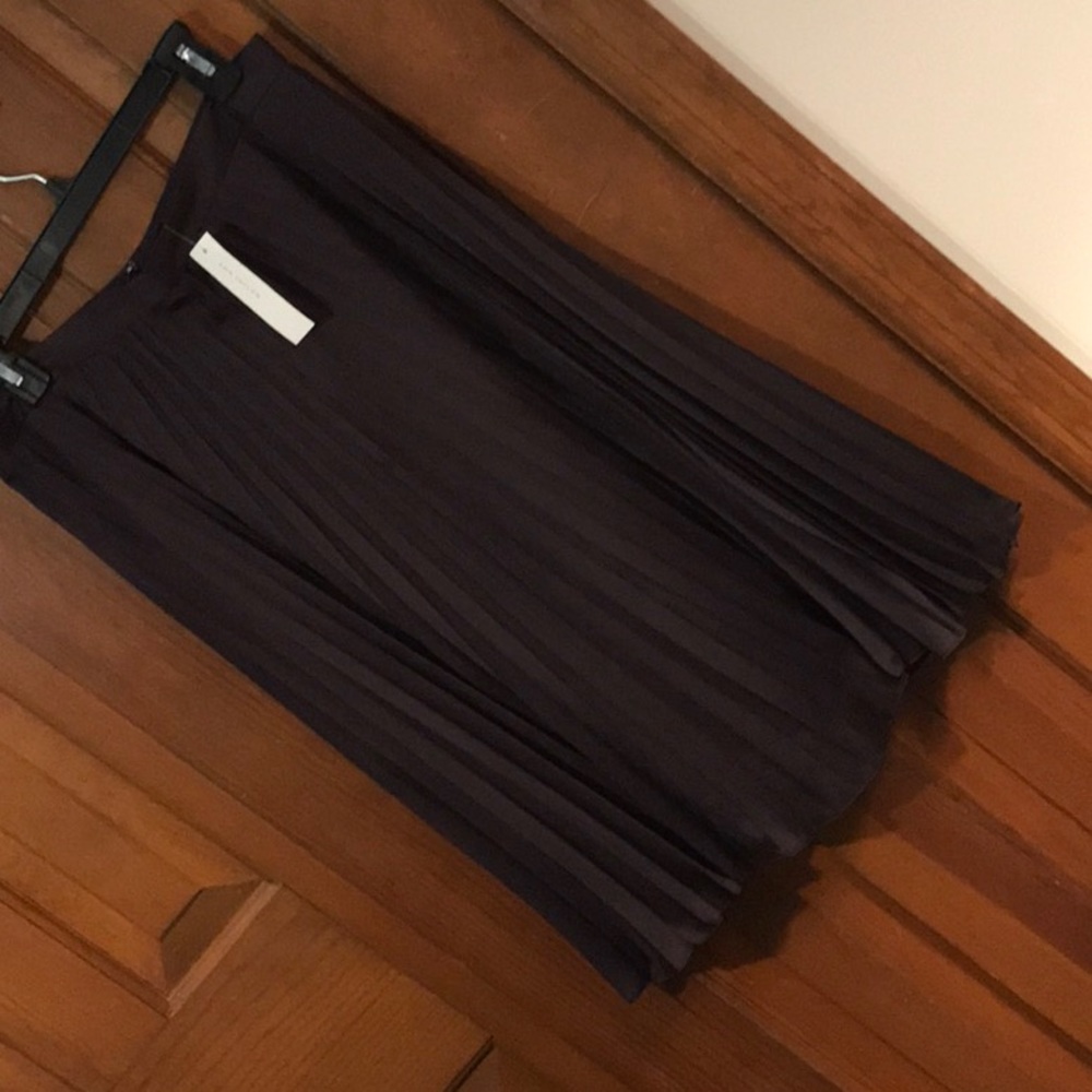Plumb pleated lightweight AnnTaylor skirt new with tags.